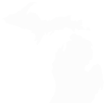 The state of Michigan
